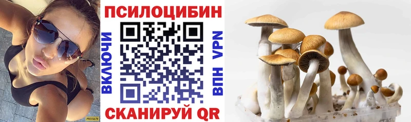 Галлюциногенные грибы Cubensis Феодосия